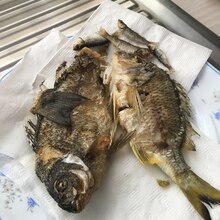 釣った魚で簡単一品 レシピ 作り方 By Jinka 楽天レシピ 釣った魚で簡単一品 レシピ 作り方 By Jinka 楽天レシピ